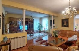 Vila, 10 camere, 580 mp, zona Cartier Albert