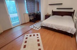 Vila, 10 camere, 580 mp, zona Cartier Albert