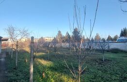 Vila, 10 camere, 580 mp, zona Cartier Albert