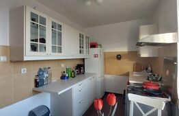 Vila, 10 camere, 580 mp, zona Cartier Albert