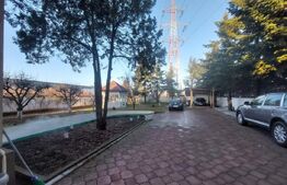 Vila, 10 camere, 580 mp, zona Cartier Albert