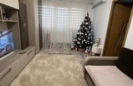 Apartament Renovat, 2 Camere, Anul 1978