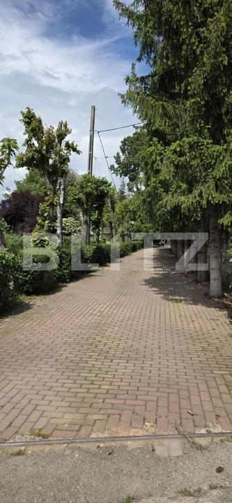 Casa de vânzare 9 camere Baicoi - 164419CV | BLITZ Ploieşti | Poza4