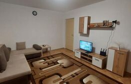 Apartament cu 2 camere, zona Malu rosu