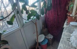 Apartament cu 2 camere, zona Vest