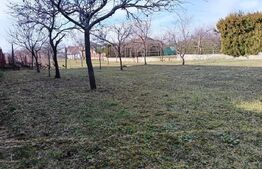 Teren Intravilan Blejoi, 1000mp , Oportunitate ! 