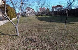 Teren Intravilan Blejoi, 1000mp , Oportunitate ! 