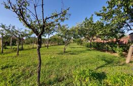 Teren Intravilan Blejoi, 1000mp , Oportunitate ! 