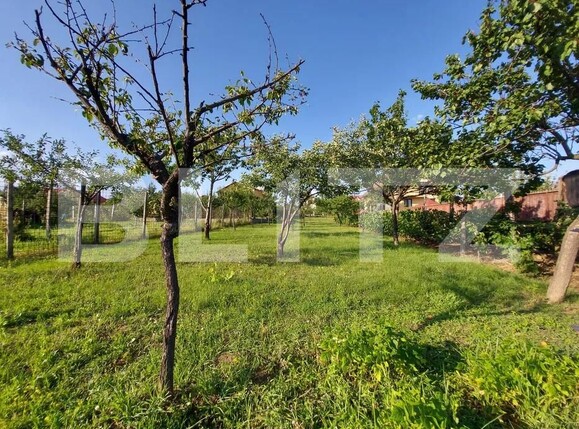 Teren de vânzare Blejoi - 164786TV | BLITZ Ploieşti | Poza1