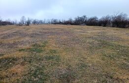 Teren Intravilan Blejoi , OPORTUNITATE ! 2800MP