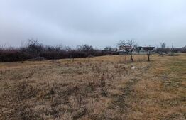 Teren Intravilan Blejoi , OPORTUNITATE ! 2800MP