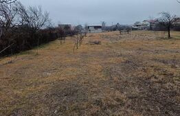 Teren Intravilan Blejoi , OPORTUNITATE ! 2800MP