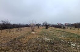 Teren Intravilan Blejoi , OPORTUNITATE ! 2800MP