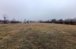 Teren Intravilan Blejoi , OPORTUNITATE ! 2800MP