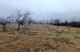 Teren Intravilan Blejoi , OPORTUNITATE ! 2800MP