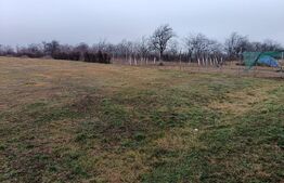 Teren Intravilan Blejoi , OPORTUNITATE ! 2800MP