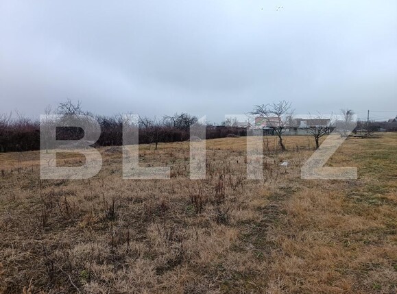 Teren de vânzare Blejoi - 164896TV | BLITZ Ploieşti | Poza6