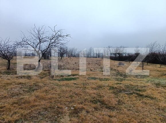 Teren de vânzare Blejoi - 164896TV | BLITZ Ploieşti | Poza9