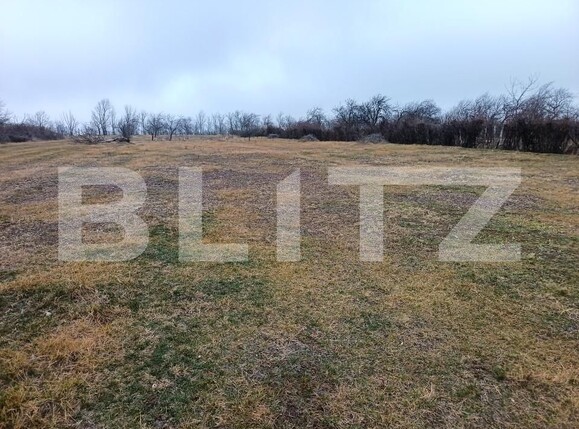 Teren de vânzare Blejoi - 164896TV | BLITZ Ploieşti | Poza3