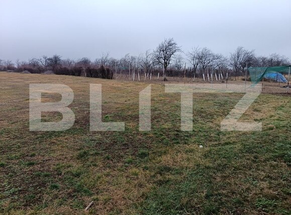 Teren de vânzare Blejoi - 164896TV | BLITZ Ploieşti | Poza8
