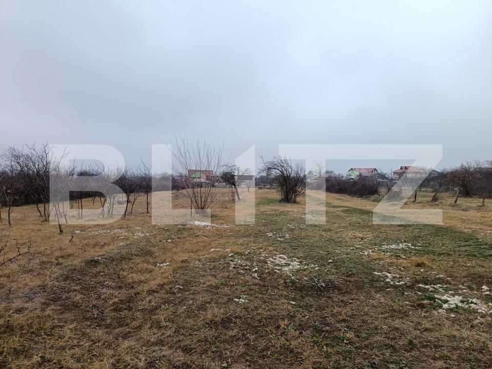 Teren de vânzare Blejoi - 164896TV | BLITZ Ploieşti | Poza5
