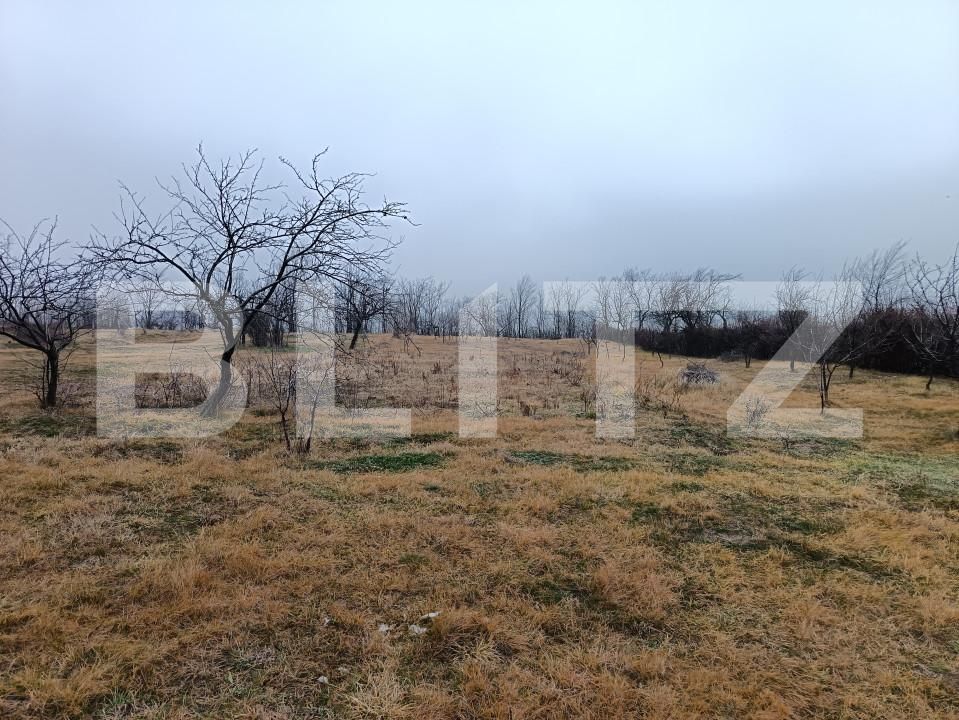 Teren de vânzare Blejoi - 164896TV | BLITZ Ploieşti | Poza9