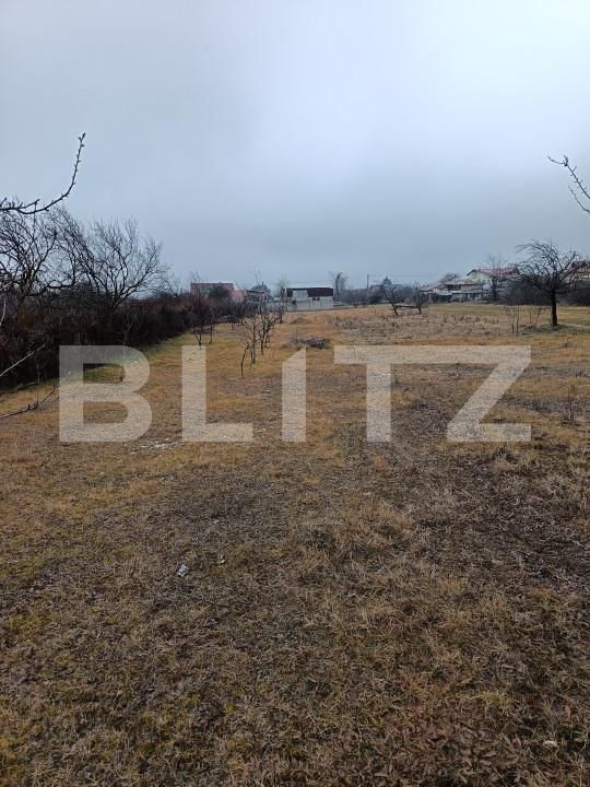 Teren de vânzare Blejoi - 164896TV | BLITZ Ploieşti | Poza4