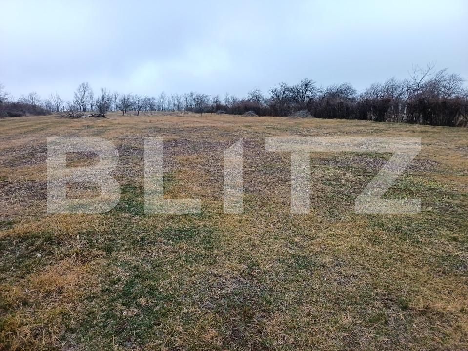Teren de vânzare Blejoi - 164896TV | BLITZ Ploieşti | Poza3