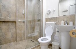 Pensiune cu 15 camere, 676 mp, zona Albert,de inchiriat