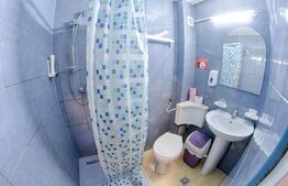 Pensiune cu 15 camere, 676 mp, zona Albert,de inchiriat