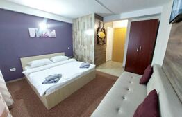 Pensiune cu 15 camere, 676 mp, zona Albert,de inchiriat