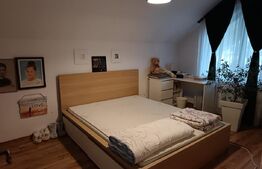 Vila superba Magurele , Complet Mobilata , 5 Camere ! 