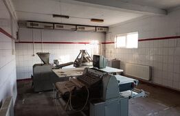 Cladire comerciala , Brutarie , utilaje incluse , teren 3321 mp 