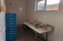 Cladire comerciala , Brutarie , utilaje incluse , teren 3321 mp 