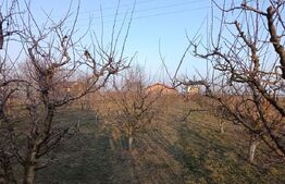 Cladire comerciala , Brutarie , utilaje incluse , teren 3321 mp 