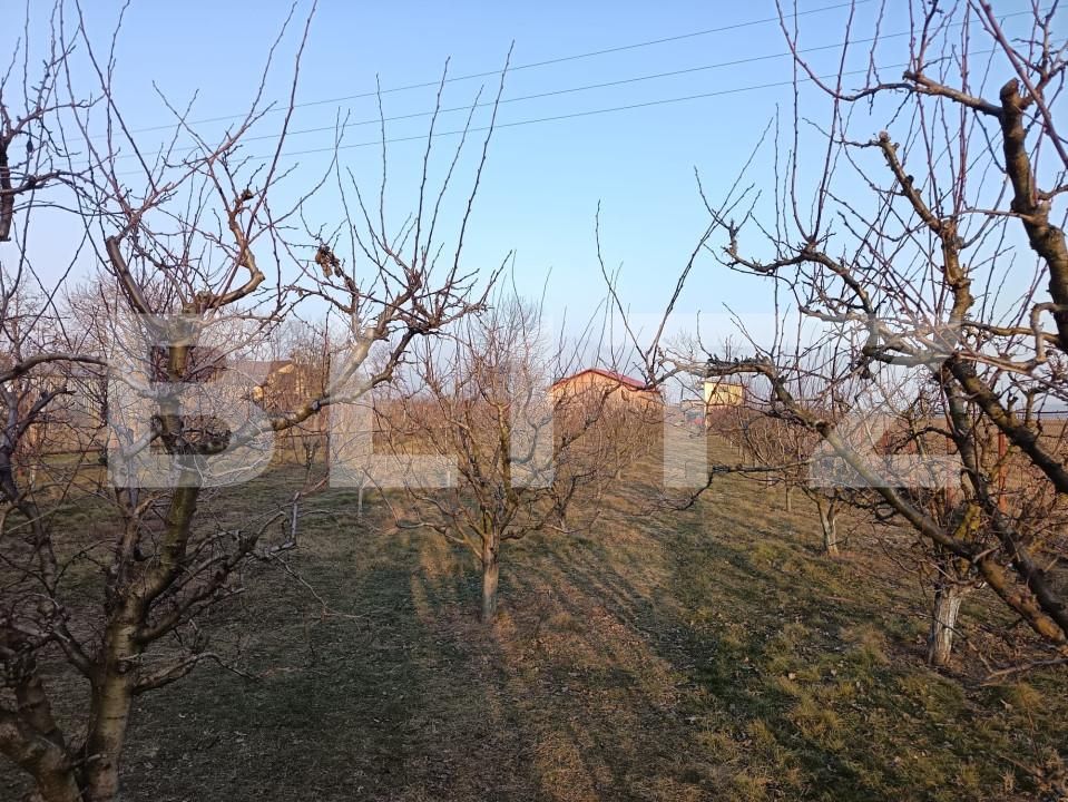 Spațiu comercial de vânzare Magurele - 165555SVC | BLITZ Ploieşti | Poza16