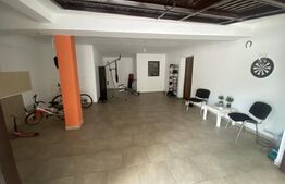 Casa individuala, 419 mp, teren 1100 mp, zona parc Bucov.  