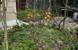 Casa, 4 camere, 144 mp, zona Buna Vestire 