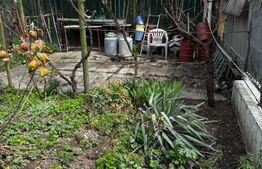 Casa, 4 camere, 144 mp, zona Buna Vestire 