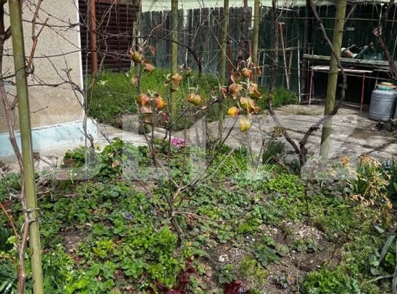 Casa de vânzare 4 camere Buna Vestire - 168259CV | BLITZ Ploieşti | Poza20