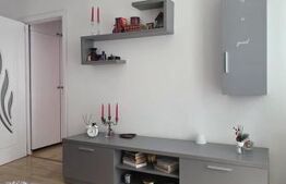 Apartament de vanzare, cu 2 camere, 44 mp, semidecomandat, zona Nord
