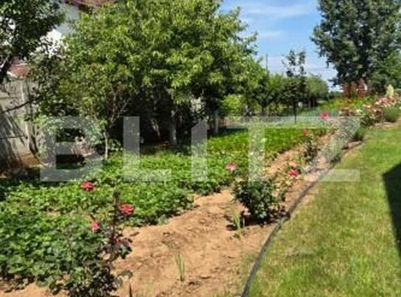 Casa de vânzare 4 camere Brazi - 172348CV | BLITZ Ploieşti | Poza12