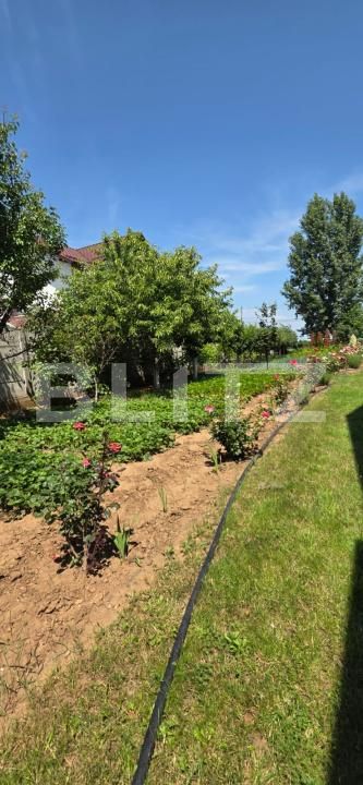 Casa de vânzare 4 camere Brazi - 172348CV | BLITZ Ploieşti | Poza12