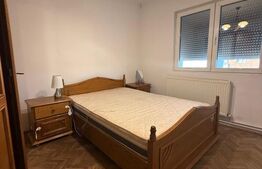 Apartament 2 camere, 46 mp, zona Bulevardul Castanilor