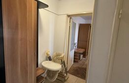 Apartament 2 camere, 46 mp, zona Bulevardul Castanilor