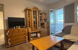 Apartament 2 camere, 46 mp, zona Bulevardul Castanilor