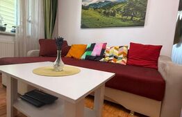 Apartament 2 camere, 49 mp, complet mobilat, zona Nord