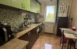 Apartament 2 camere, 49 mp, complet mobilat, zona Nord
