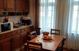 Casa de vanzare, cu 10 camere, suprafata utila 310 mp, zona Rahovei