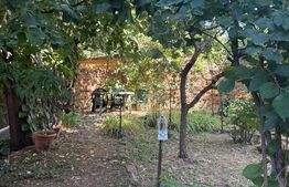 Casa de vanzare, cu 10 camere, suprafata utila 310 mp, zona Rahovei